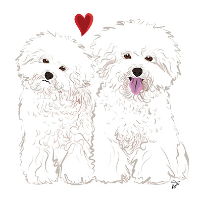 shop bichon frise dogs by karen dahlquist